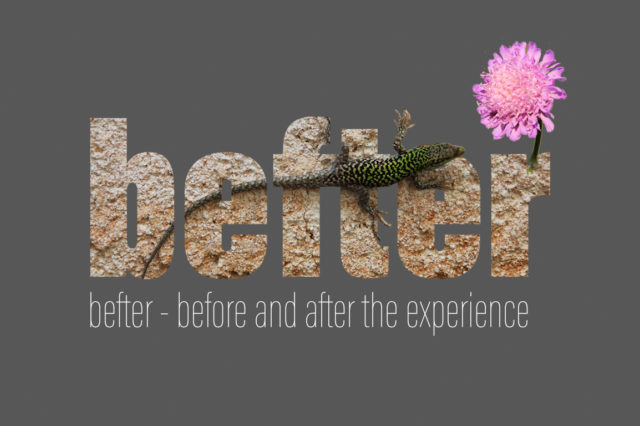 befter projects 2018/2019 using The Horse concept